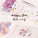 ★Anna様★専用ページ