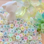 かすみ草ドライフラワー