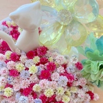 かすみ草ドライフラワー