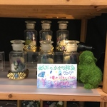 ‪小瓶の中の光の森の鉱石ランプ‬