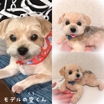 【xajr様】専用ページ