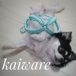 犬のハーネス＆リードセットMサイズ 軽くてかわいいパラコード  トイプードル ダックス シーズー マルチーズ ポメラニア小型犬用
