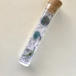 ✴︎理科系✴︎  微生物ピンバッチセット