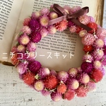センニチコウリースのキット♡