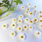 【ミニ】花かんざしヘッド　25個　ハーバリウム、アロマワックス、スワッグ、ボタニカルキャンドル他花材