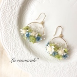 new color◌ॱ̥*⃝̣Flower  wreathe❁green×blue