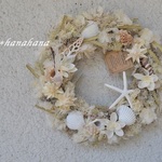 シェルの砂浜ホワイトwreath