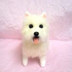 うちのウエスティ☆vol 3