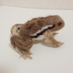 羊毛フェルト　アズマヒキガエル