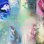 【5/24～6/30まで開催】②回目！セット割引で販売します！