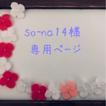 so-na14様専用ページです