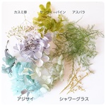 梅雨入り値下げ❗レジン用  小分け🎵  花材～紫陽花ブルーセット～