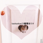  ⭐️kaokaokao様専用⭐︎