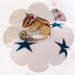 オーダーリクエスト⭐️さぁや様専用⭐️