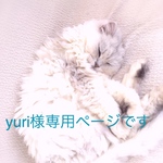 yuri様の専用ページになります