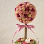 【再販】千日紅のトピアリー（サーモンピンク＆赤紫＆白）