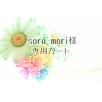 sora-mori様専用カート☆受注☆