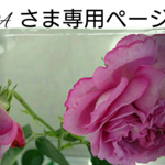 ～Aさま専用ページ～    