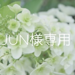 junpiii様専用  オーダースワッグ