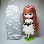 サンプル品のためお買い得❗ブライスお出かけバッグ★ドールケース (ドールキャリー)