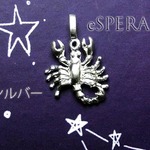 2個セット【蠍座】シルバー12星座チャーム☆さそり座サソリS