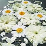 🌼大好評お買い得白い花セット🌼50輪