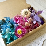 プリティーフラワー＊ハーバリウム 花材ドライフラワー  花材セット