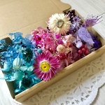 3カラープリプル＊ハーバリウム 花材ドライフラワー  花材セット