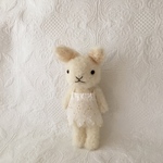 carotte  cami