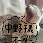 中野様 オーダー