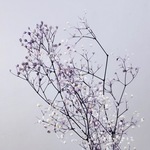 カスミ草＊白/パープル☆送料無料＆4点毎に1点おまけ付き♡ 