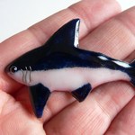 七宝焼のサメ