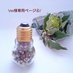 no様専用ページです☆