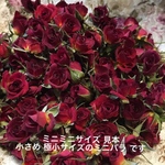 ミニミニ薔薇20輪セット+おまけ2輪付き★ミニバラ ドライフラワー★花材　素材★小さな花★レジン加工　アクセサリー作品に最適です★ハーバリウムにも
