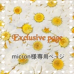 micron様専用ページ