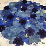 ♡new♡ 送料無料！¥1630 ♡たっぷり押し花セット♡