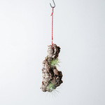 A様オーダー品　WILD NATURE　-クライマー- 