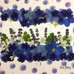 ♡new♡ 送料無料！¥1680 ♡たっぷり押し花セット♡