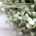 charobox様専用  