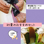 初夏のおすすめセット