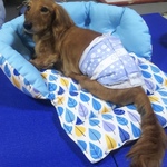 Tababu wonderful friends❤️