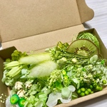 香り引き立つGreen＊ハーバリウム 花材ドライフラワー  花材セット