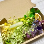 癒しの3色＊ハーバリウム 花材ドライフラワー  花材セット