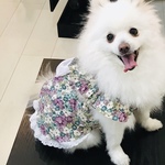 送料無料 犬服 肩フリル 花柄 エプロンドレス 犬キャミソール 犬ワンピース