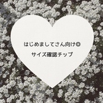 サイズ確認用チップ