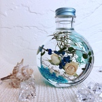 ドライバラのハーバリウム ネコ瓶（150ml）夏のハーバリウム