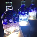 【木のLEDライト付き】クラゲ泳ぐ白砂ビーチの海の世界 ～アクアリウム～