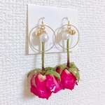 薔薇一輪-輪くぐり-