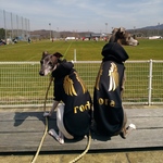 🦅6色のつばさ🦅トップス・ロンパース