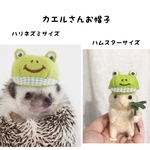 カエルさんお帽子☆ハリネズミ、小動物用